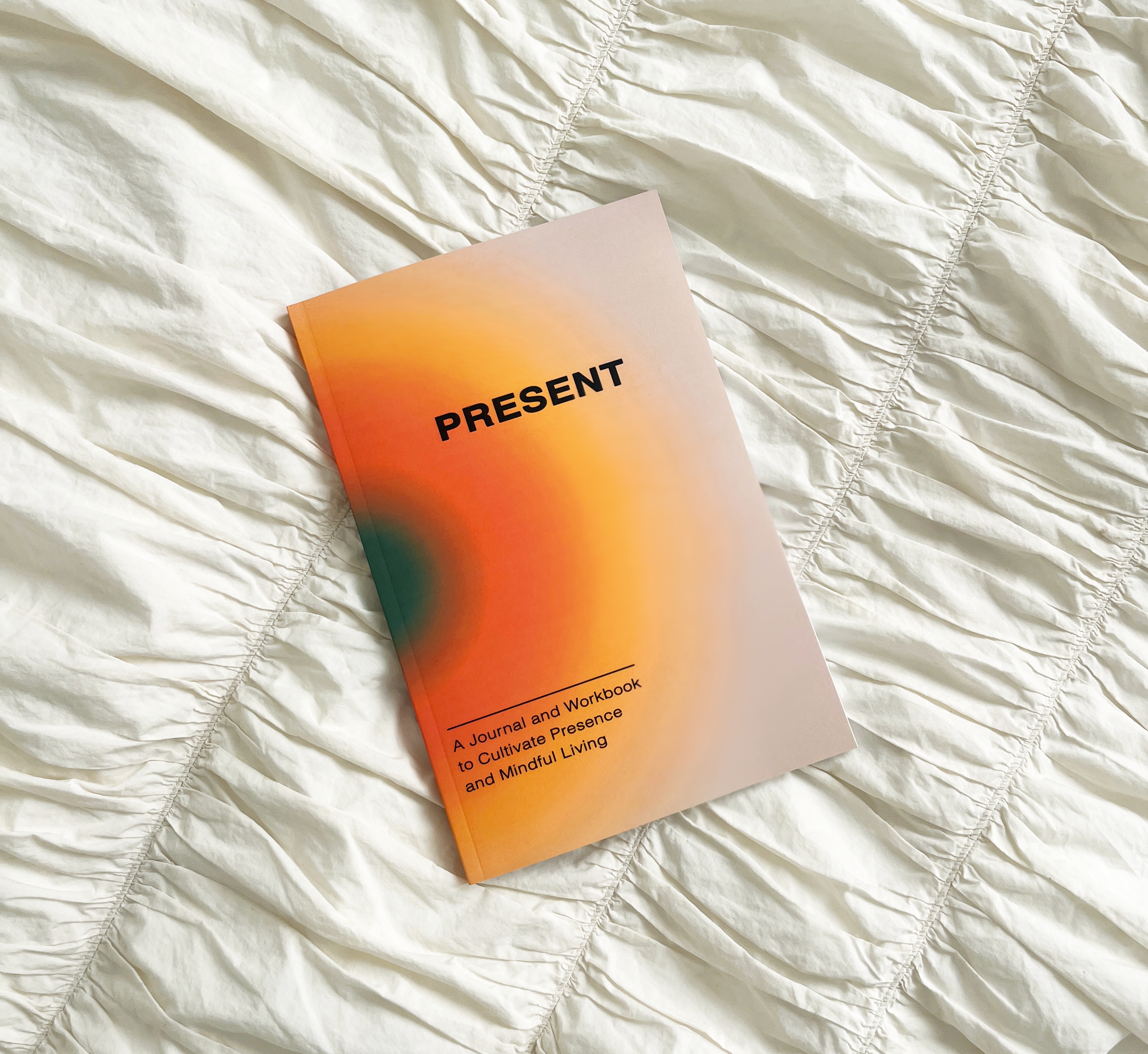 BULK(3 BOOKS) PRESENT: A Journal and Workbook to Cultivate Presence and Mindful Living
